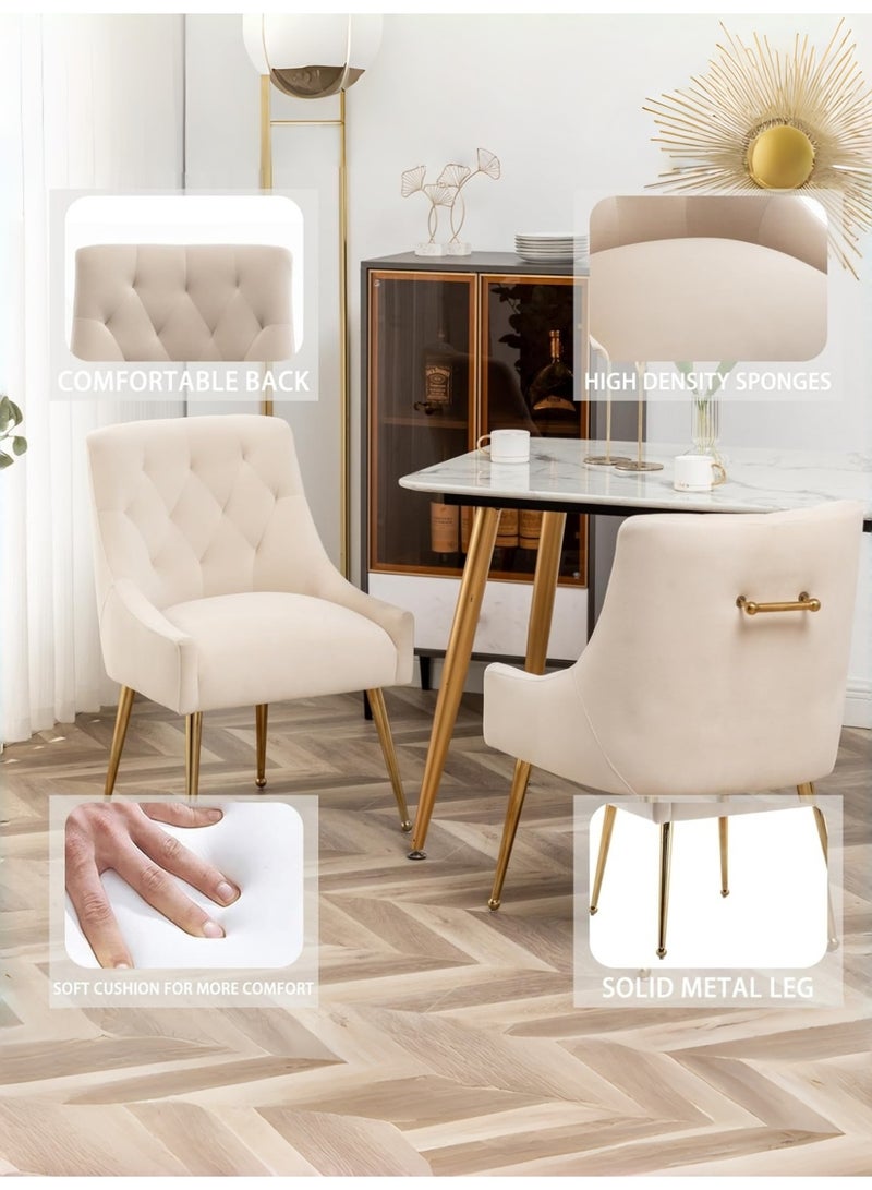 SEYNAR Dining Chair Set of 2,Modern Velvet Dining Chairs with Gold Legs,Elegant Tufted Accent Chairs for Reception, Living Room or Study Room - Image 4